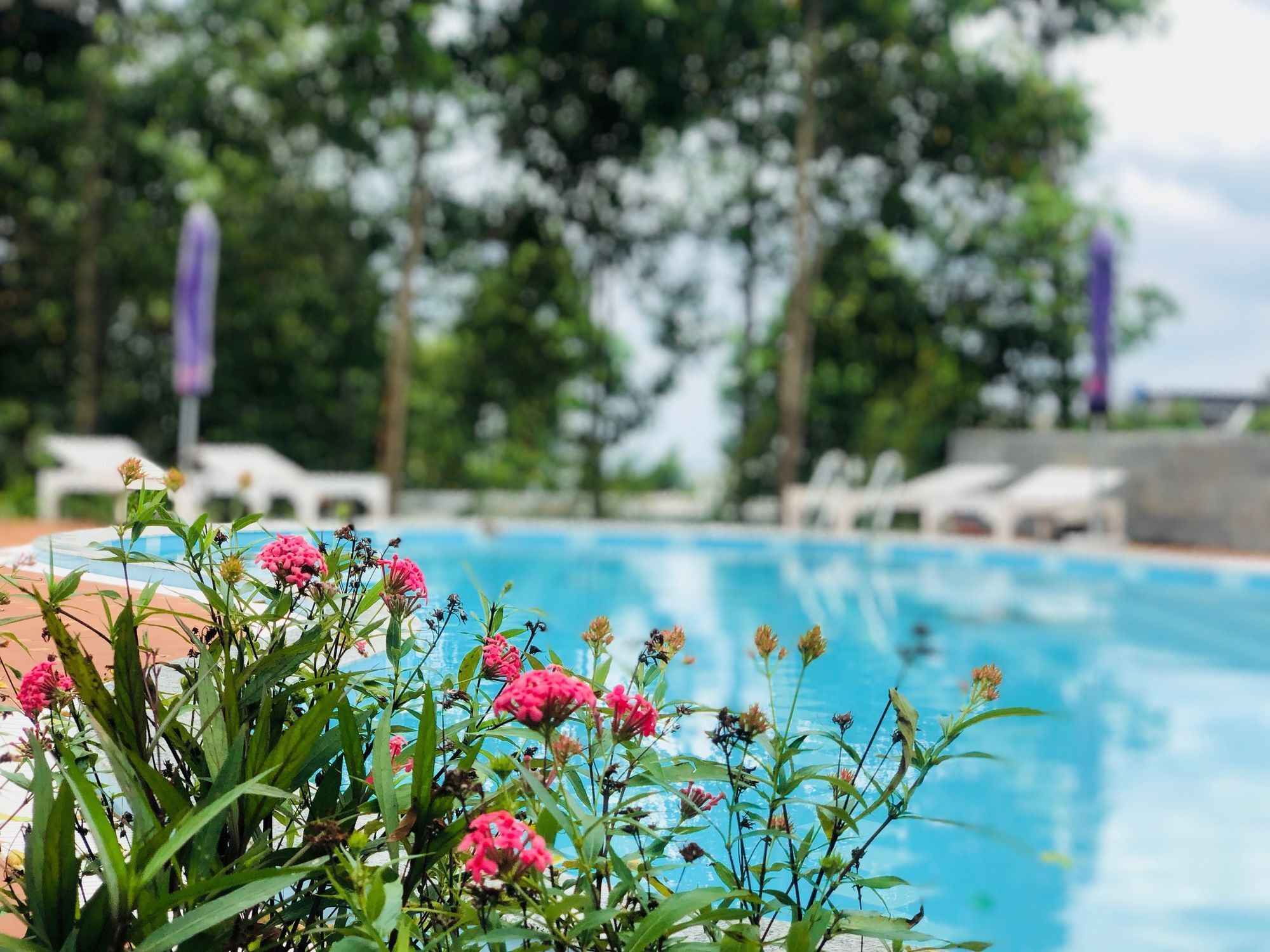 Doi Sao Phu Quoc Hotel Kültér fotó